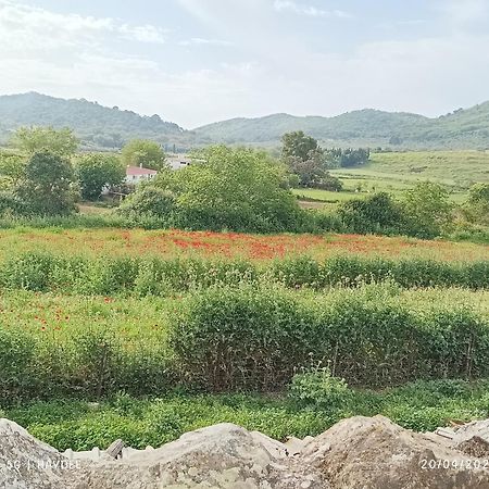 查兹拉德拉谢拉 Casa El Azahin旅馆 外观 照片