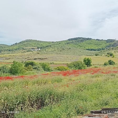 查兹拉德拉谢拉 Casa El Azahin旅馆 客房 照片
