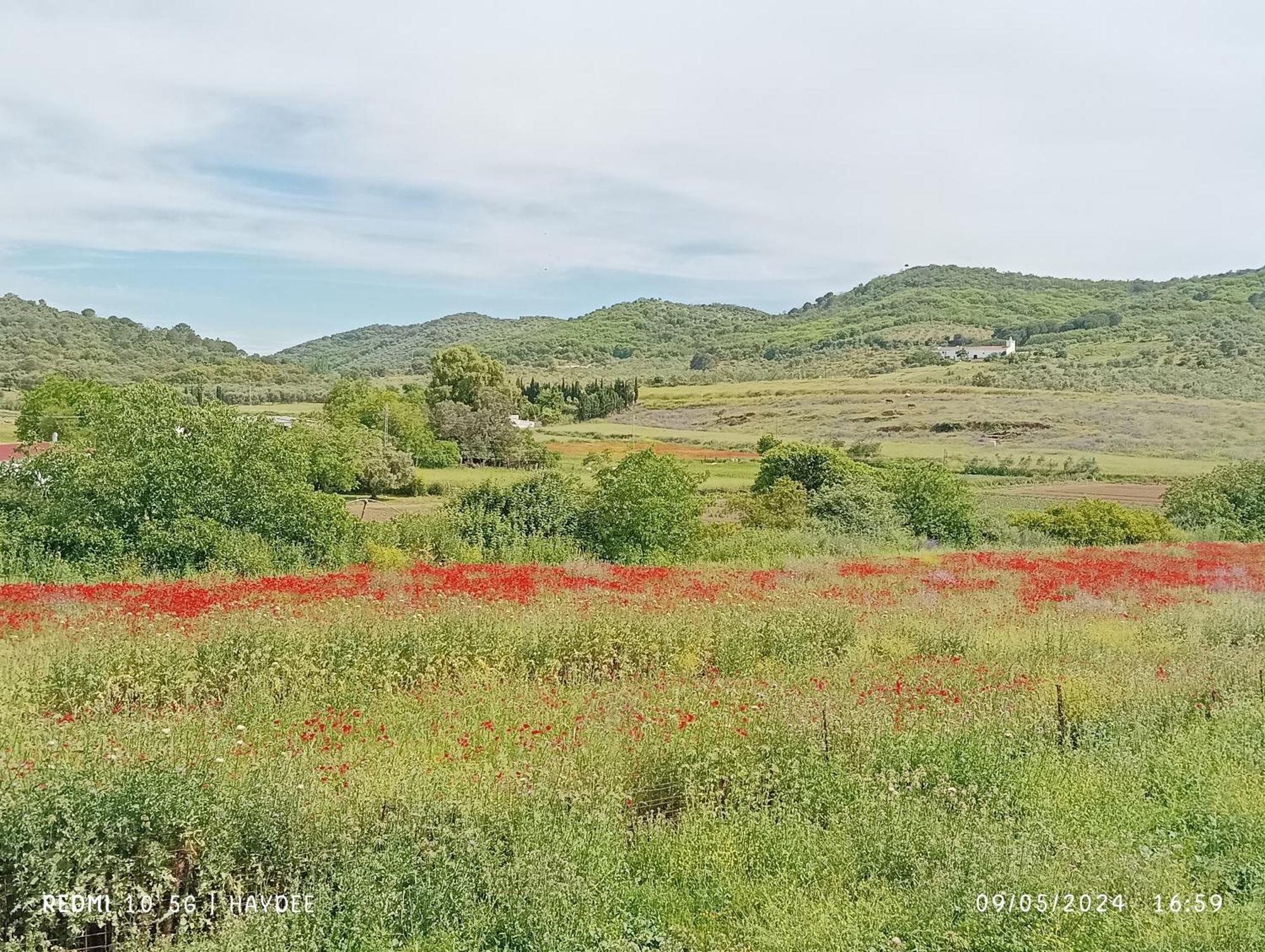 查兹拉德拉谢拉 Casa El Azahin旅馆 客房 照片